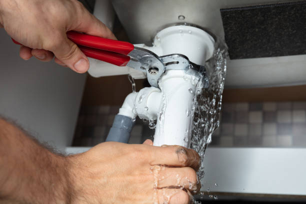 Best Professional water damage repair  in Amherst, WI