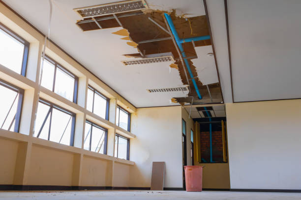 Best Flooded house restoration  in Amherst, WI