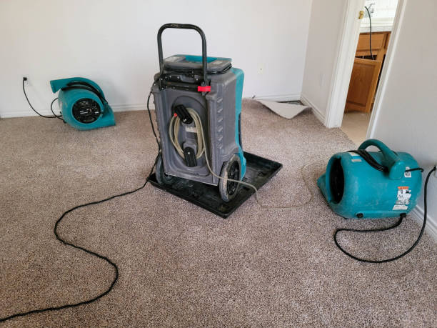 Best Water damage restoration near me  in Amherst, WI