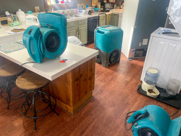 Best 24/7 water damage repair  in Amherst, WI