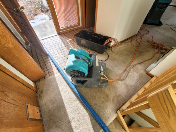 Best Flood restoration services  in Amherst, WI