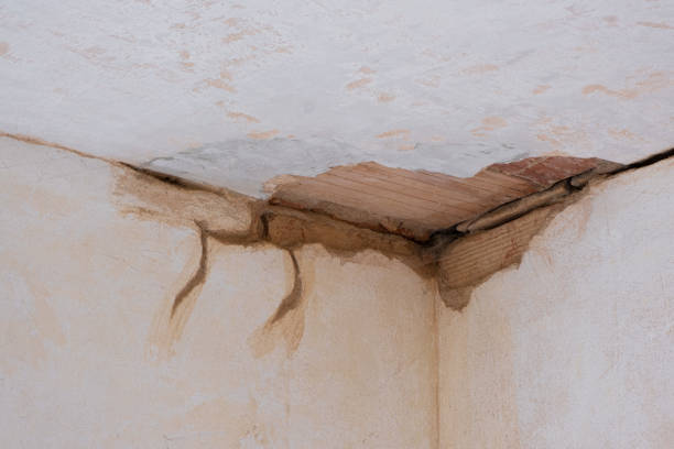 Best Water damage restoration company  in Amherst, WI