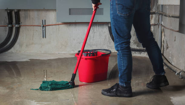 Best Flood damage cleanup  in Amherst, WI