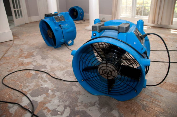 Best Mold removal after water damage  in Amherst, WI