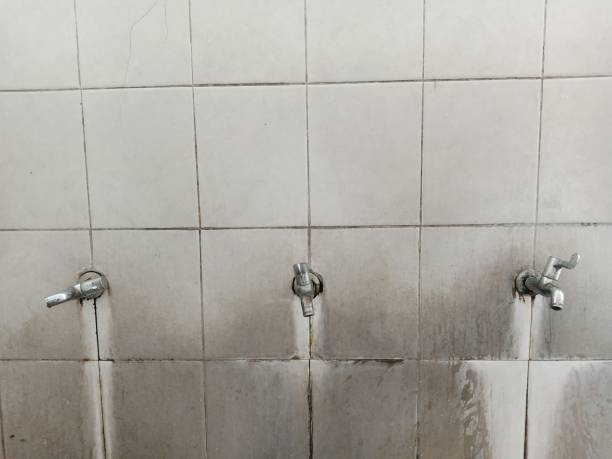 Best Water damage cleanup near me  in Amherst, WI
